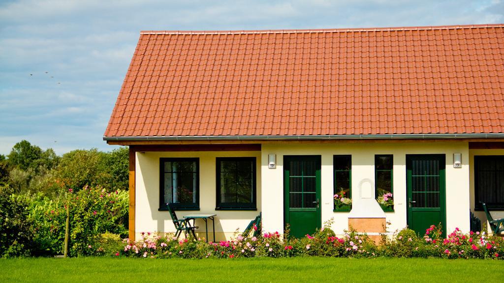 Ferienwohnung Hof Maiweg Alt Schonau Exterior foto